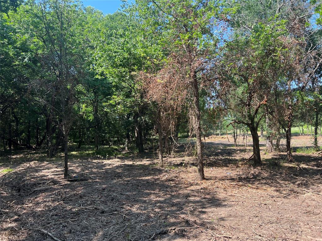 Maria Ignacio Gimenez Surv Abs - Land