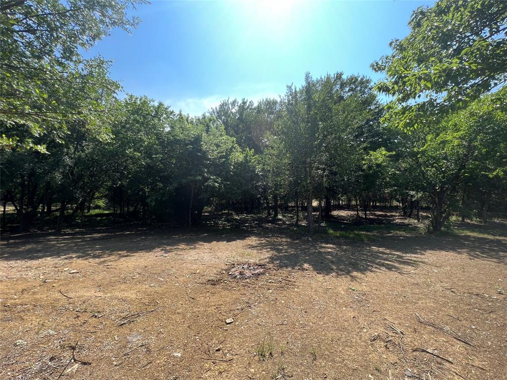 Maria Ignacio Gimenez Surv Abs - Land