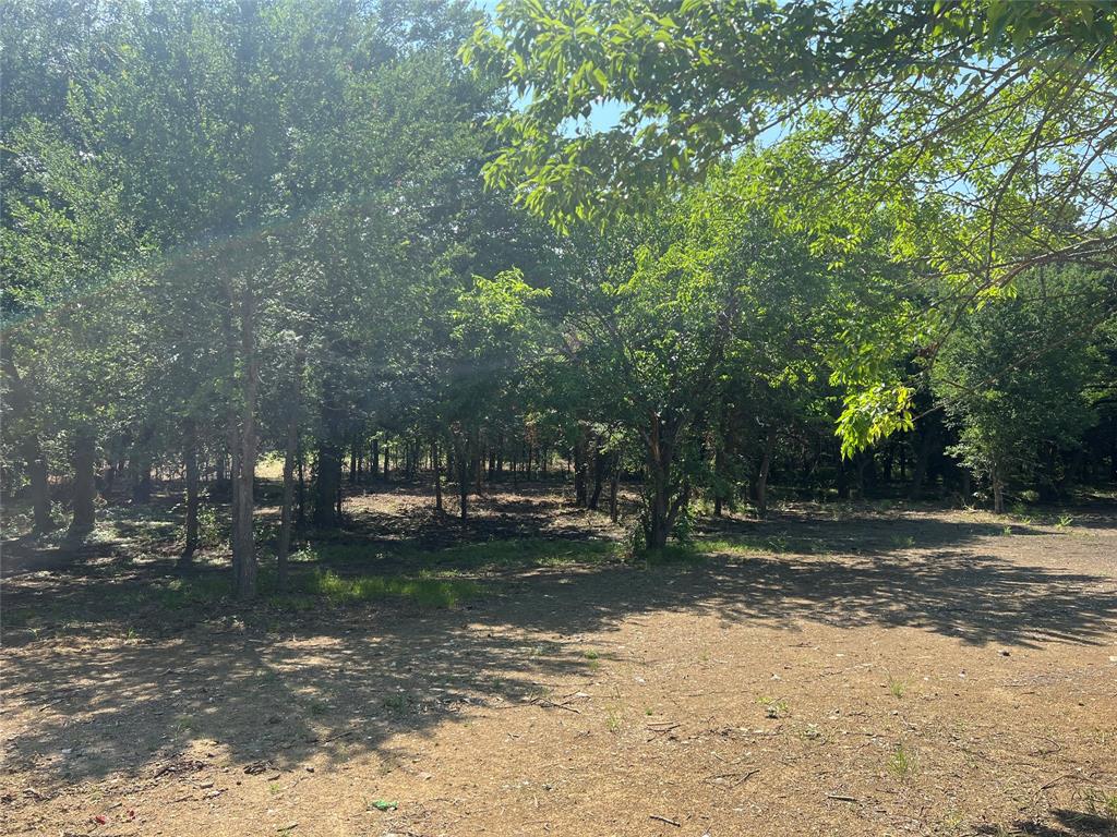 Maria Ignacio Gimenez Surv Abs - Land