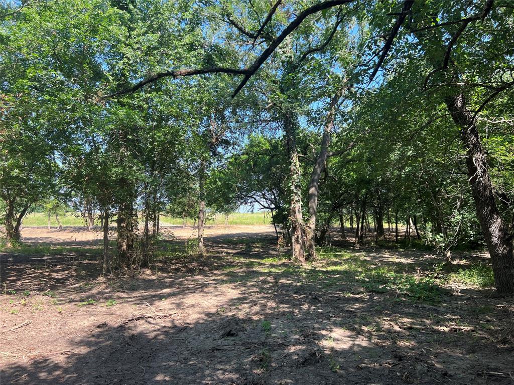 Maria Ignacio Gimenez Surv Abs - Land