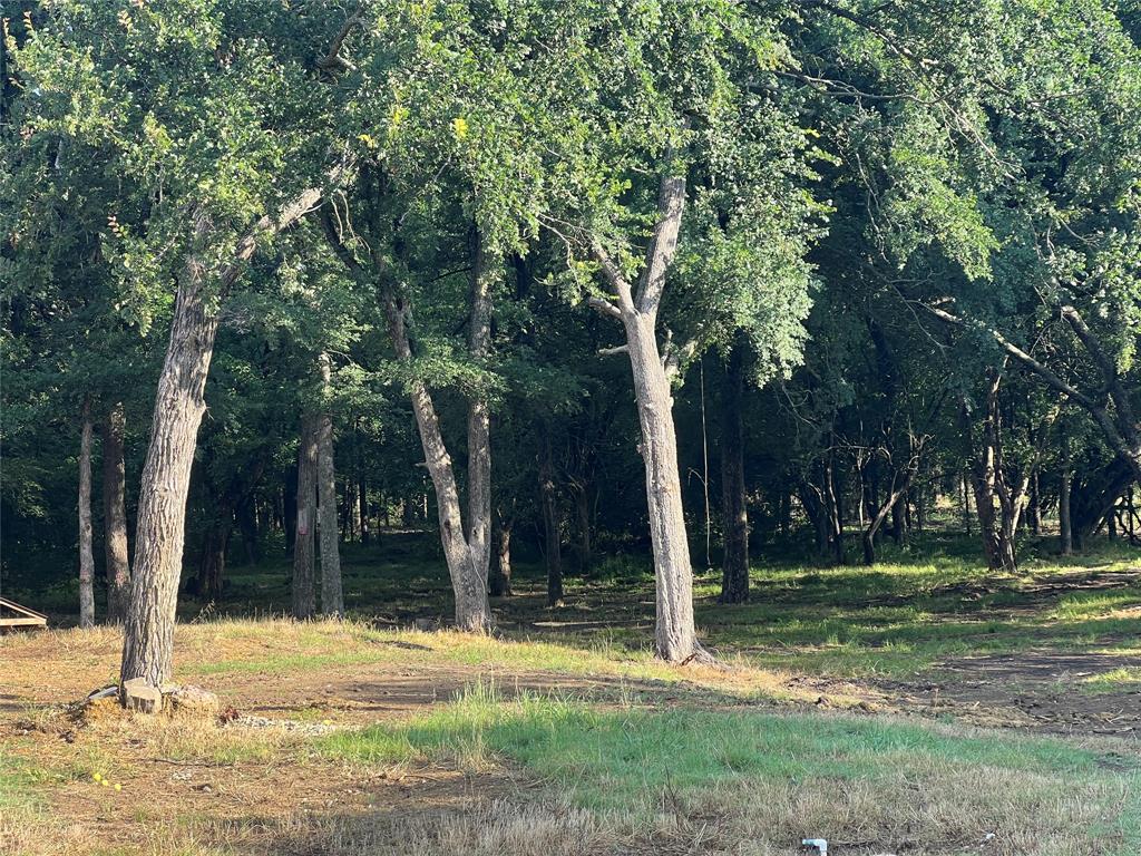 Maria Ignacio Gimenez Surv Abs - Land