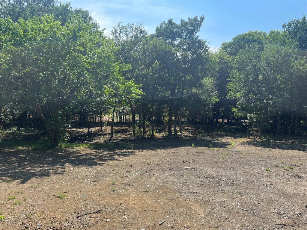 Maria Ignacio Gimenez Surv Abs - Land