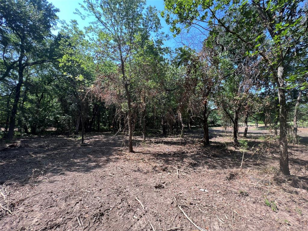 Maria Ignacio Gimenez Surv Abs - Land