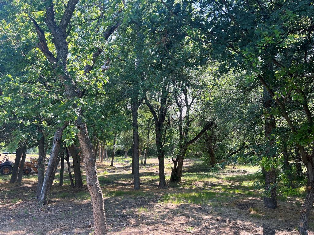 Maria Ignacio Gimenez Surv Abs - Land