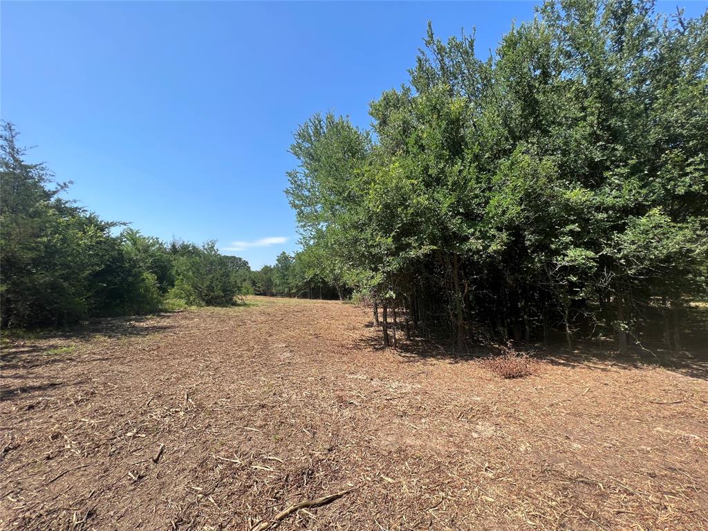 Maria Ignacio Gimenez Surv Abs - Land