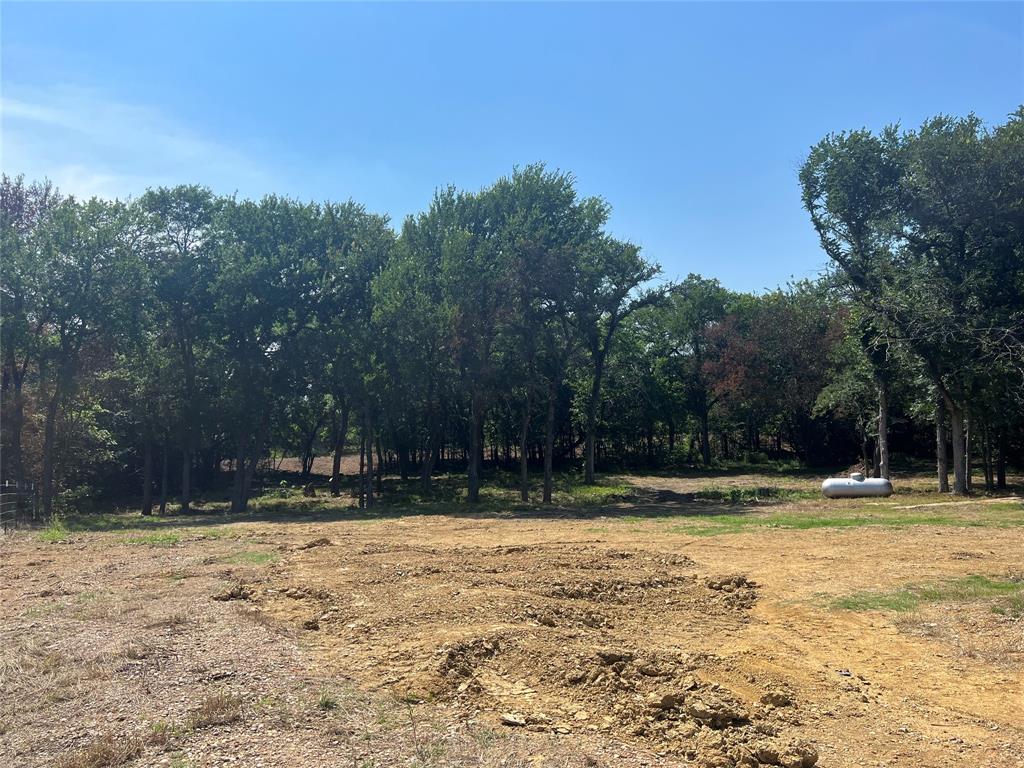 Maria Ignacio Gimenez Surv Abs - Land