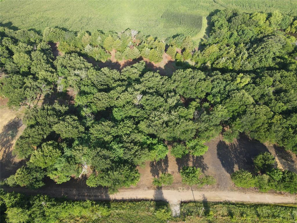 Maria Ignacio Gimenez Surv Abs - Land