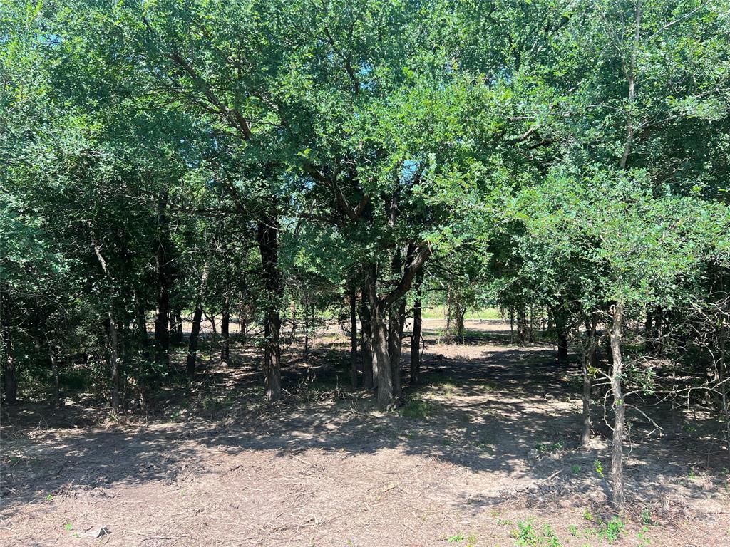 Maria Ignacio Gimenez Surv Abs - Land