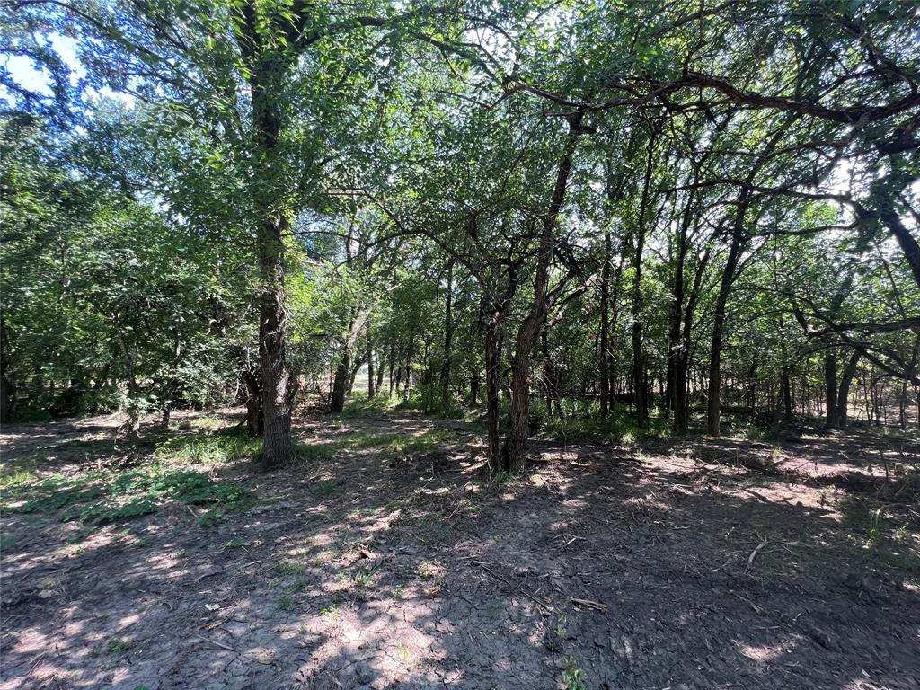 Maria Ignacio Gimenez Surv Abs - Land