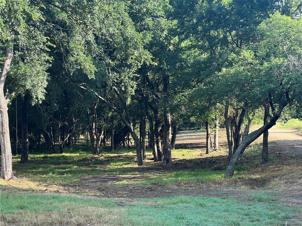 Maria Ignacio Gimenez Surv Abs - Land