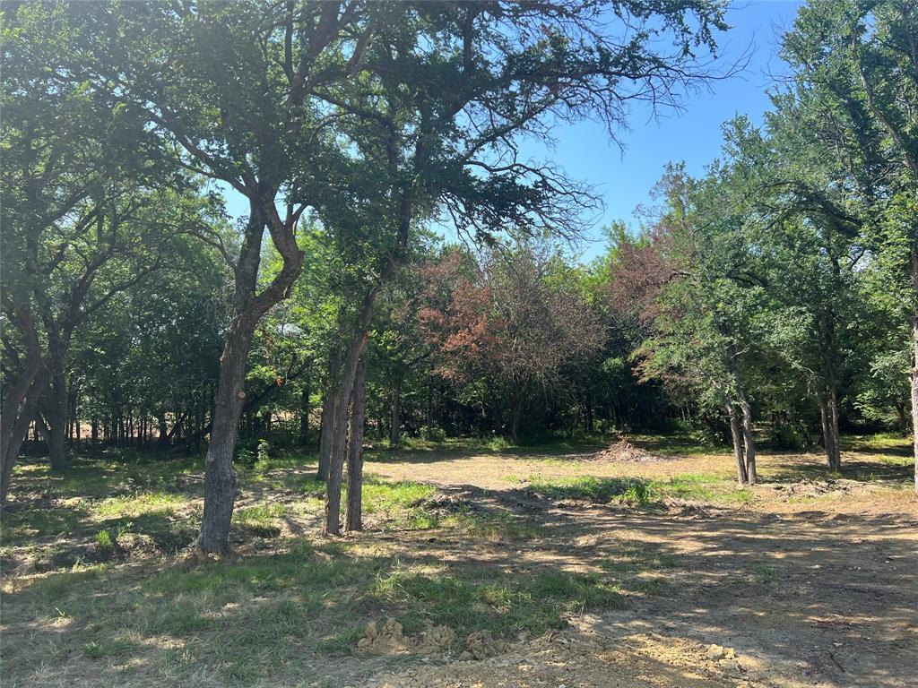 Maria Ignacio Gimenez Surv Abs - Land