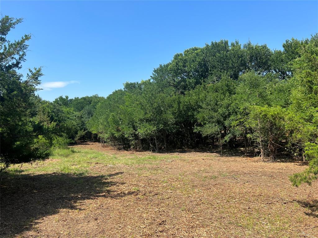 Maria Ignacio Gimenez Surv Abs - Land