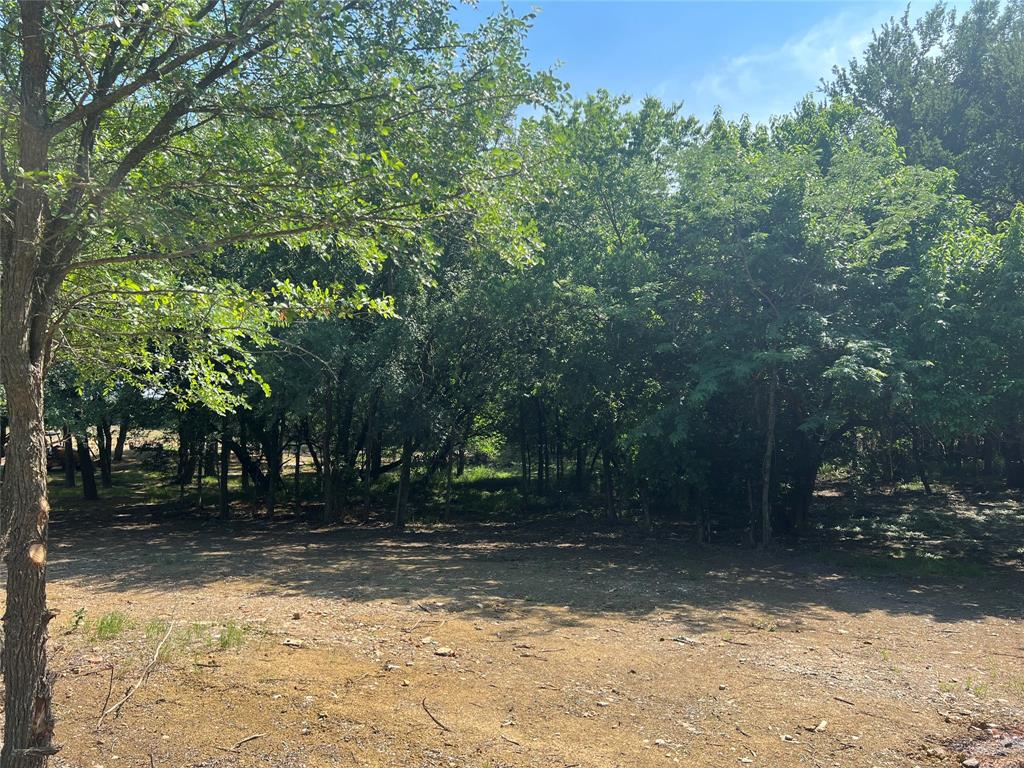 Maria Ignacio Gimenez Surv Abs - Land