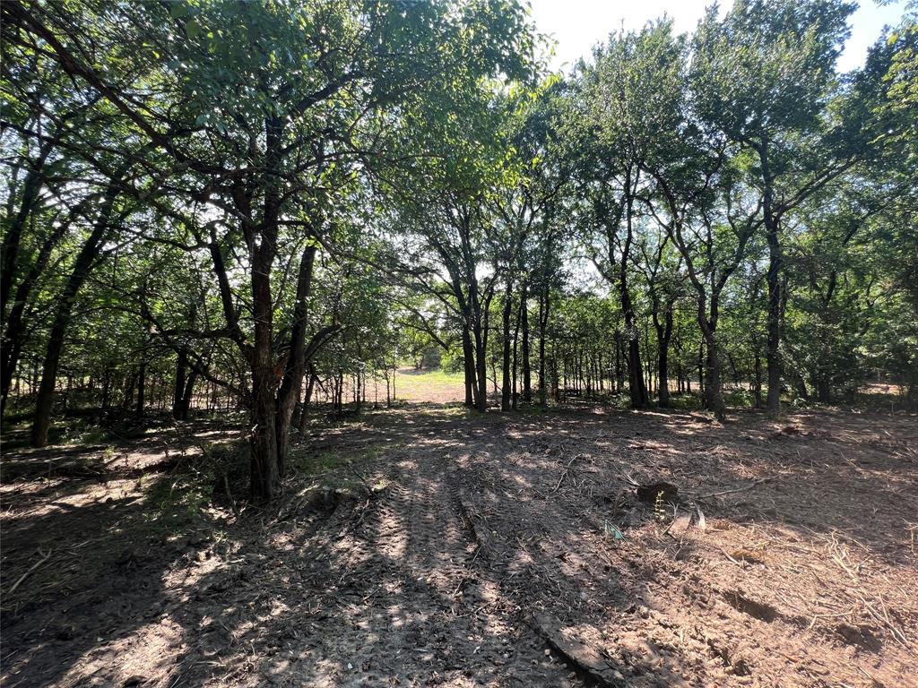 Maria Ignacio Gimenez Surv Abs - Land