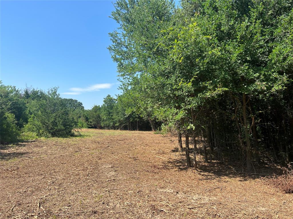 Maria Ignacio Gimenez Surv Abs - Land