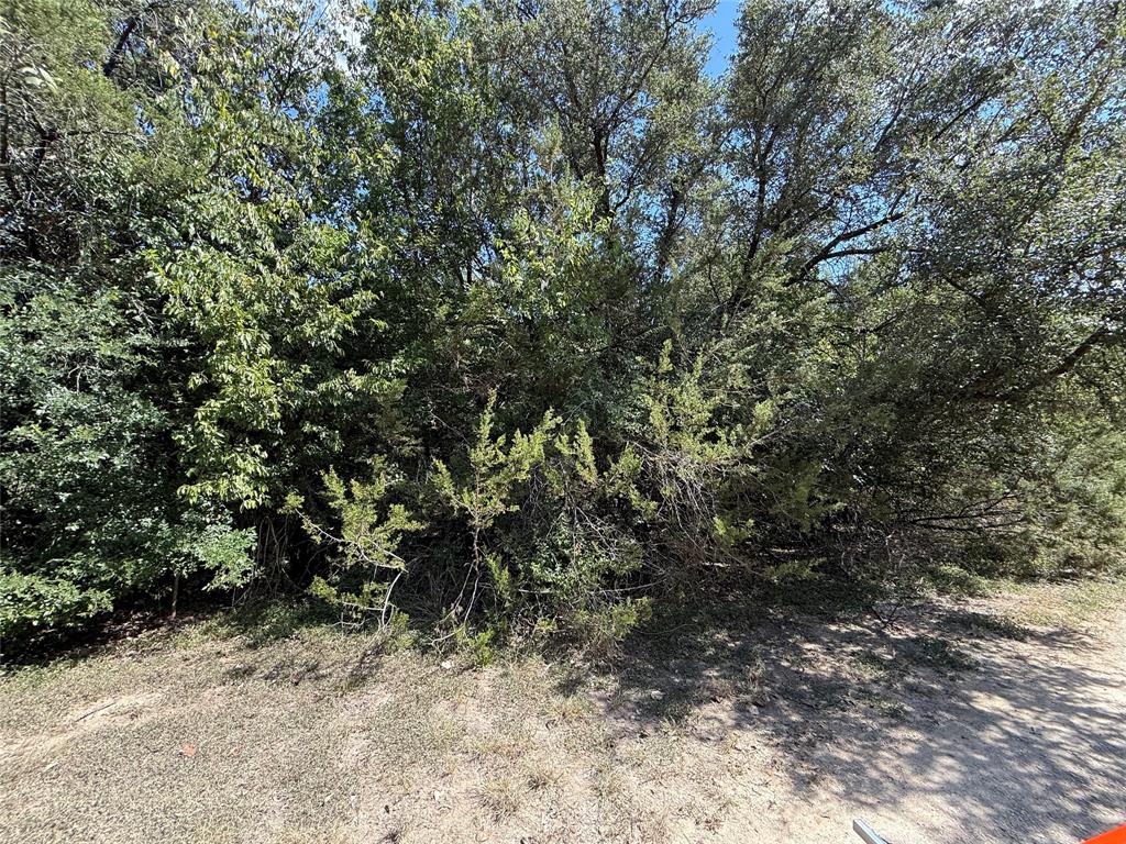 120 Live Oak Spur