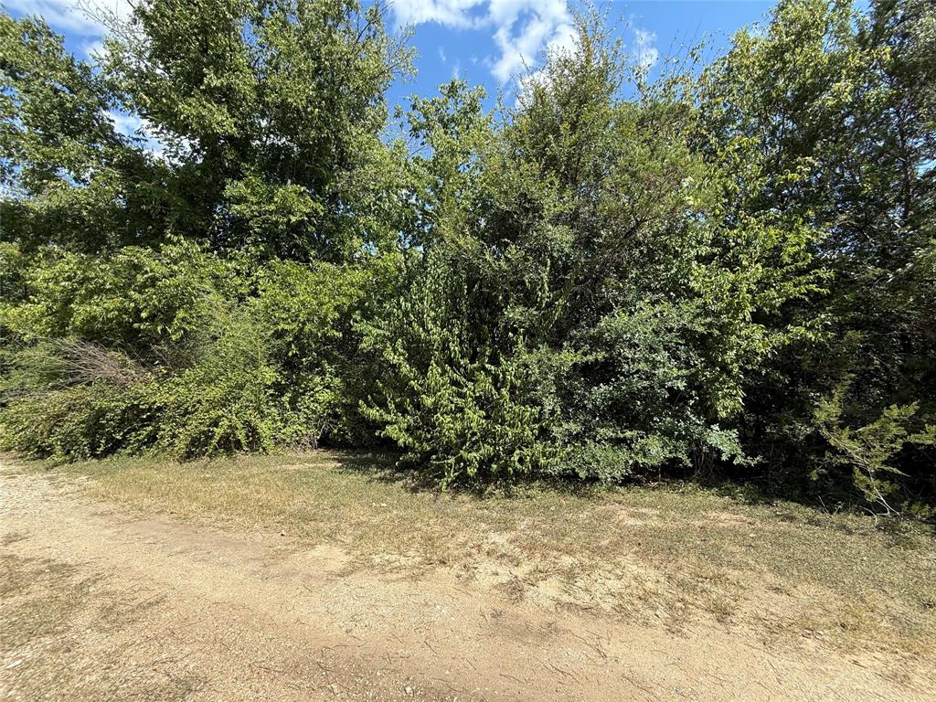 120 Live Oak Spur