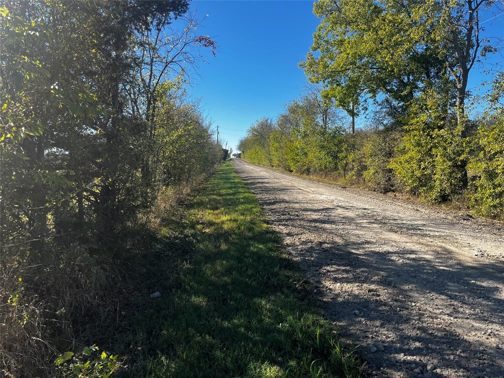 A0113 BUSH JOHN H,TRACT 5, ACRES - Land