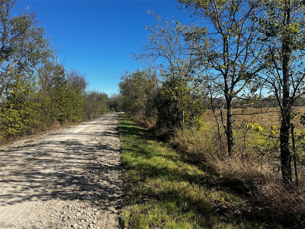 A0113 BUSH JOHN H,TRACT 5, ACRES - Land