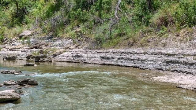 Anson Darniel Surv Abs # 222 - Land