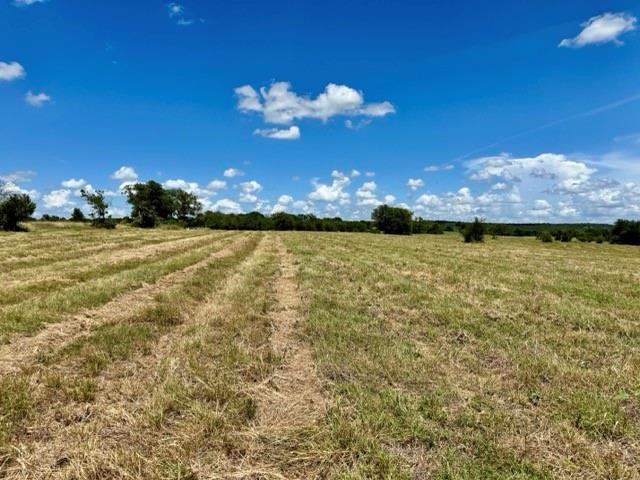 Anson Darniel Surv Abs # 222 - Land