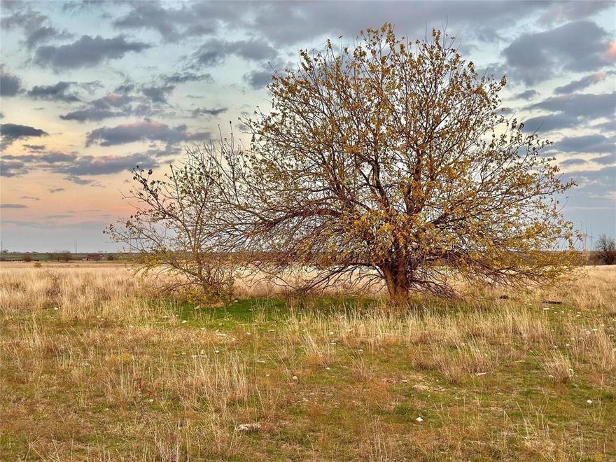 Charming Acreage in Era ISD – Perfect for Your Dream Home or Investment
Nestled in the scenic rolling hills of Era ISD, this beautiful tract of land offers a tranquil escape just an hour from the heart of the Dallas-Fort Worth metroplex. With breathtaking views of the surrounding countryside, this property provides the perfect canvas for building your dream home, ranch, or recreational retreat. The land is equipped with convenient co-op electricity, making it easy to develop and enjoy. Whether you’re looking for a peaceful getaway or a place to settle, this property offers the ideal mix of privacy and accessibility.  Surrounded by natural beauty and positioned in a desirable school district, this rare find is ready to meet your needs and lifestyle. Don’t miss the opportunity to own this stunning piece of Texas land. 9 Lots available from 11.5, 19.7, 38.68, 58.1, to 97 acres.