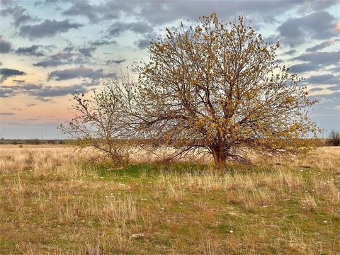 96.8 Acres County Road 353 Gainesville TX 76240