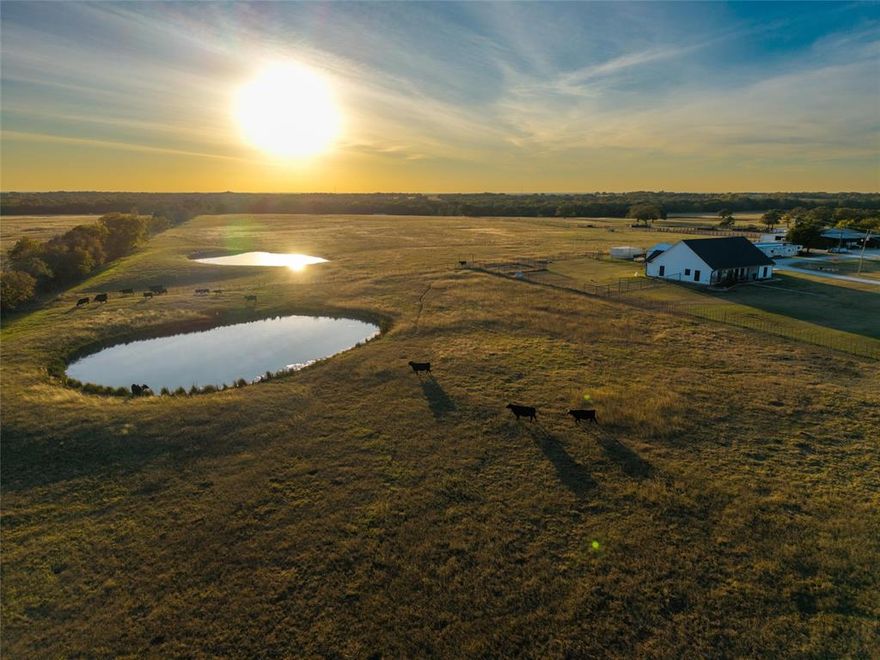 Welcome to the perfect blend of ranching, recreation, and refined country living. Spanning 180 plus or minus acres, with the possibility of additional acreage, this fenced and cross-fenced property is ideal for cattle, horses, hunting, or a peaceful Texas retreat. A multipurpose livestock barn features three Priefert horse stalls, a tack room, large tool room, and ample space for equipment. An arena with cattle chutes completes the setup for working horses and livestock.
The land offers a beautiful mix of native and coastal pastures, open grazing areas, and mature oak clusters that create excellent wildlife habitat. Multiple stocked ponds provide water for cattle and attract whitetail, duck, and wild hogs. Toward the back, the terrain drops into a dry creek, adding scenic character.
At the heart of the ranch is a custom-built 3-bedroom, 3-bath farmhouse with an open floorplan and rustic accents. Tongue-and-groove beamed ceilings and an impressive stone fireplace highlight the living room. The kitchen features subway tile backsplash, farmhouse sink, quartz countertops, a Viking gas cooktop, Bosch appliances, and a built-in KitchenAid ice machine. Each bedroom has an ensuite bath. The owner’s suite includes a spa-like retreat with a freestanding air-jetted tub, large shower, and double vanities, while a second owner’s suite offers an oversized walk-in shower.
With abundant windows showcasing westerly views and sunsets, plus a separate three-car garage, this property is ideal for entertaining or unwinding after a day on the ranch. Whether you envision a working operation, private hunting escape, or estate-quality homestead, this exceptional property delivers versatility, natural beauty, and true country comfort.