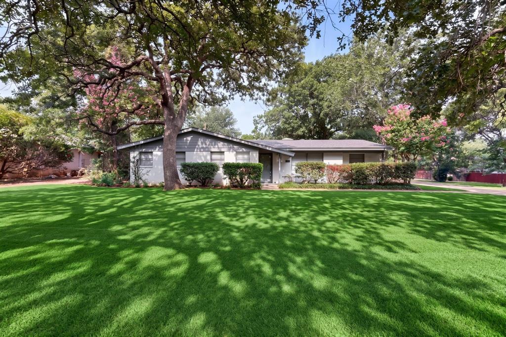 341 Arcadia Street