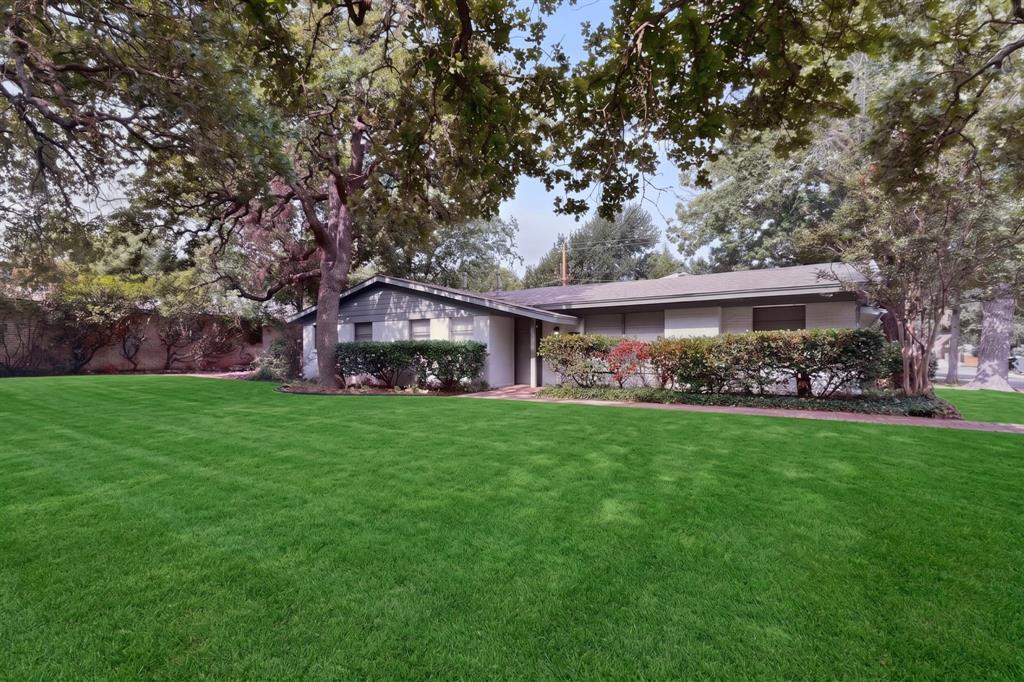341 Arcadia Street