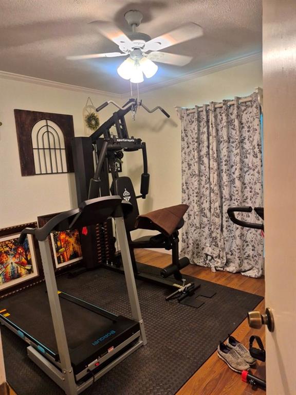 linn isaac - Residential