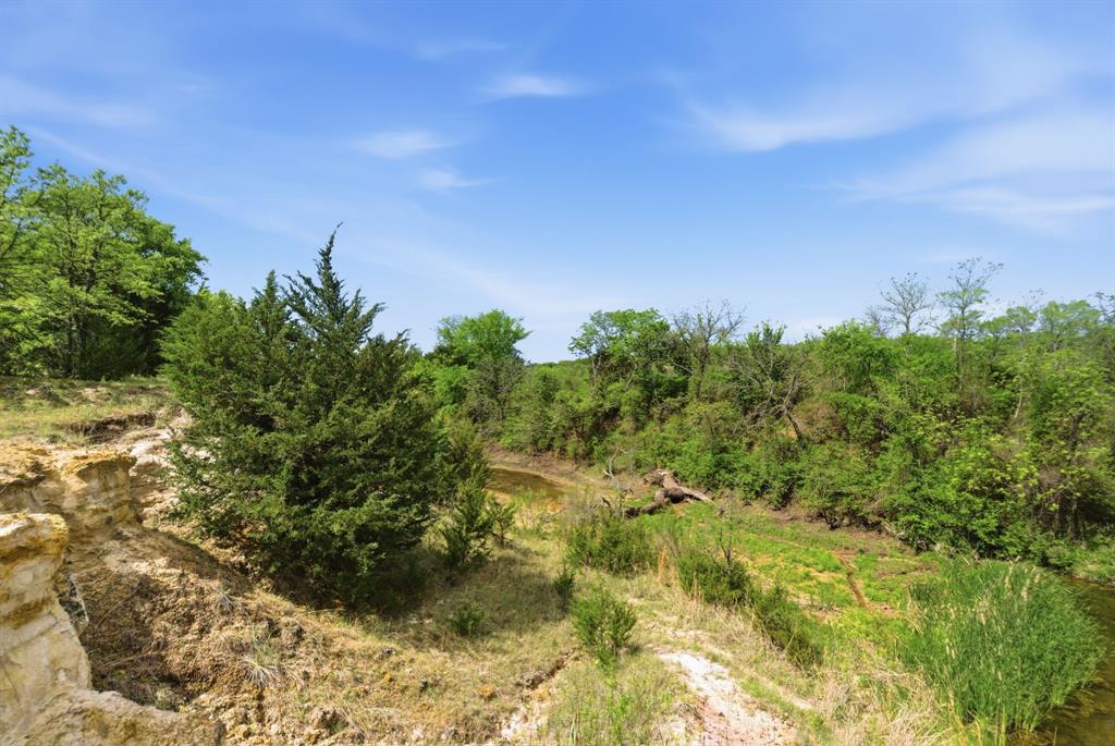 JESSE G COX SURVEY - Farm
