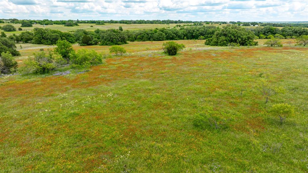 TBD County Road 277