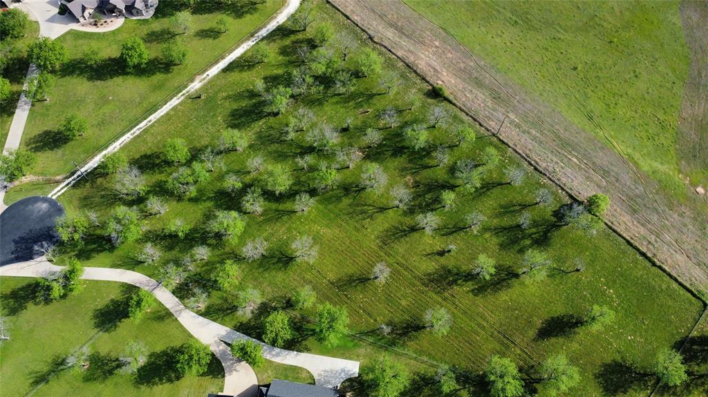 The Orchards On The Brazos - Land