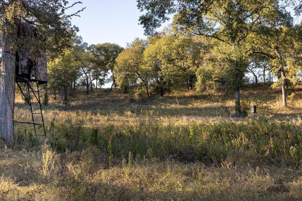 John Howard A-218 - Farm