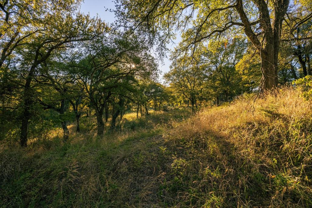 John Howard A-218 - Farm