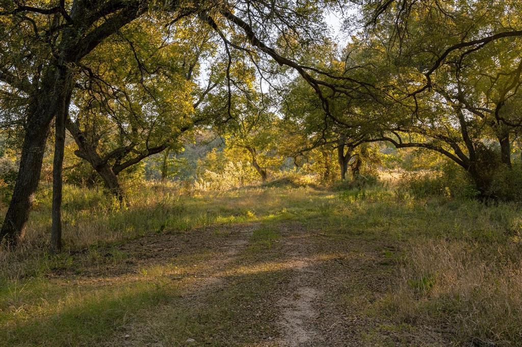 John Howard A-218 - Farm