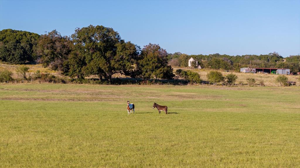 John Howard A-218 - Farm