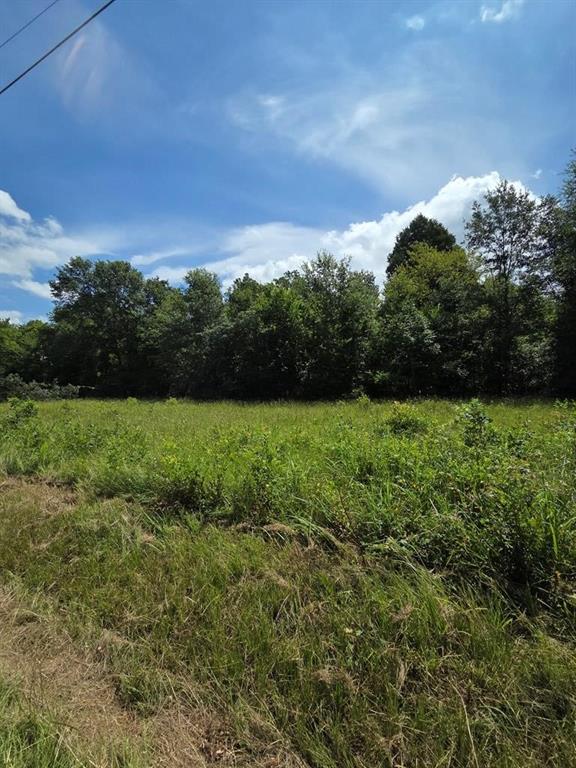 166 DEER RUN Road