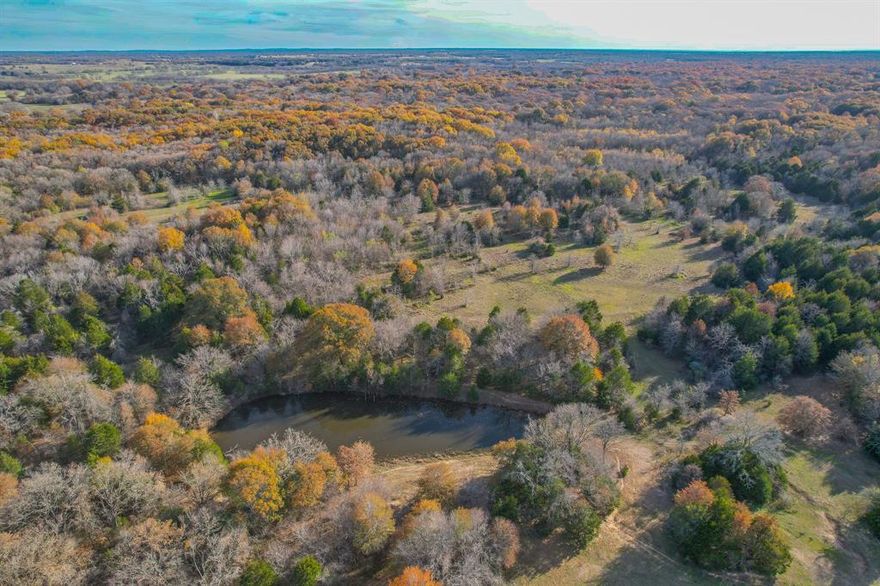 If you’ve been looking for a great, hunting and recreation property that’s close to Dallas, then you have to check this one out! This property, set in a natural landscape, offers outstanding deer and hog hunting, with the potential for excellent duck hunting. The mix of wooded to open areas allows the potential for strategically placed hunting areas that could easily include planted food plots and feeders. Several creeks, ponds, and other small water features make it an attraction to all types of wildlife. Also included, is an area near the road that invites the construction of a custom cabin or barndominium for a comfortable retreat. This is  a tremendous and unique opportunity for outdoor enthusiasts, so call today to setup your own private showing!