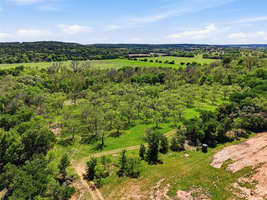 12011 Paradise Boulevard