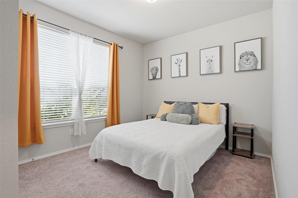 Palmilla Springs - Residential