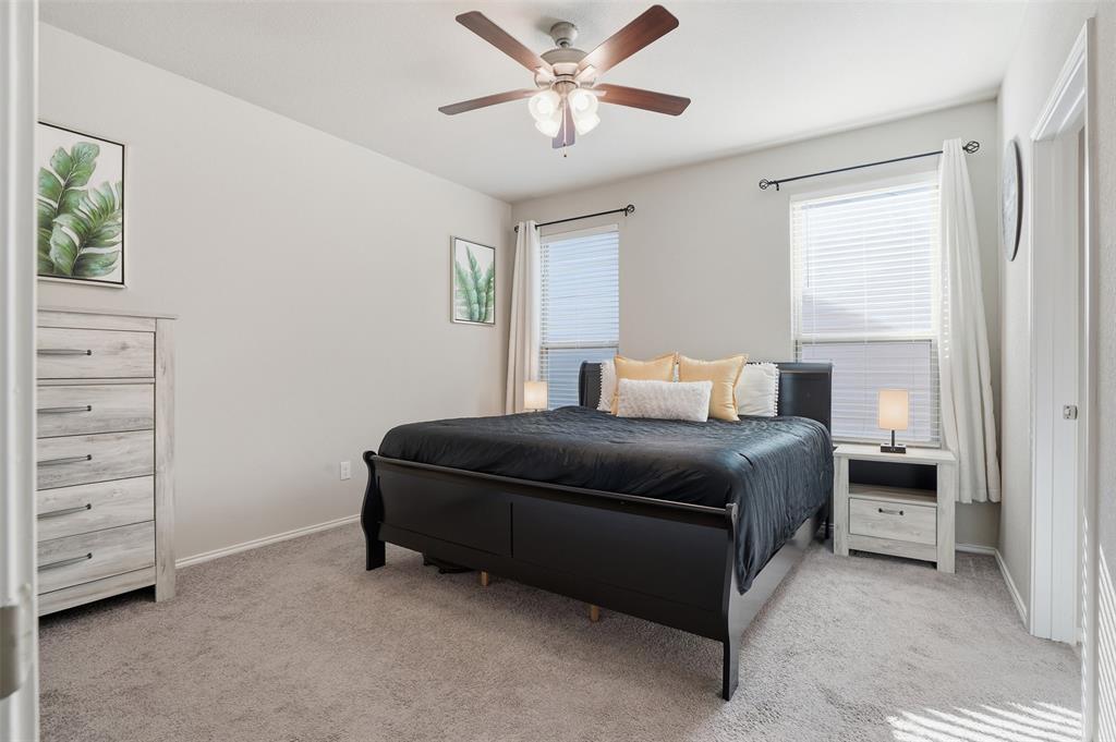 Palmilla Springs - Residential