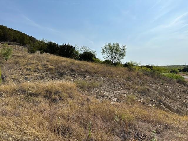 Lot 143 Canyon Wren S