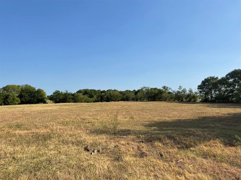 W Crabtree Abst - Land