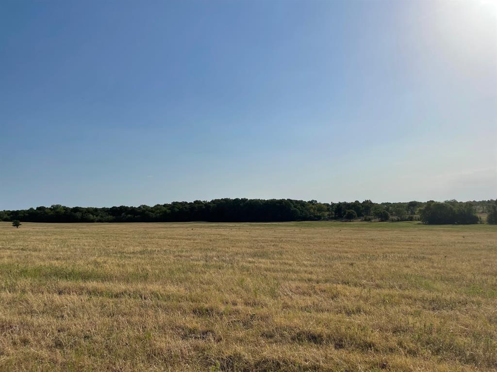 W Crabtree Abst - Land