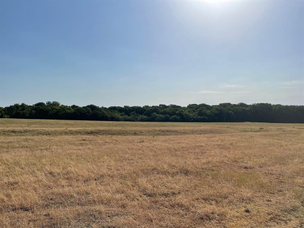 W Crabtree Abst - Land