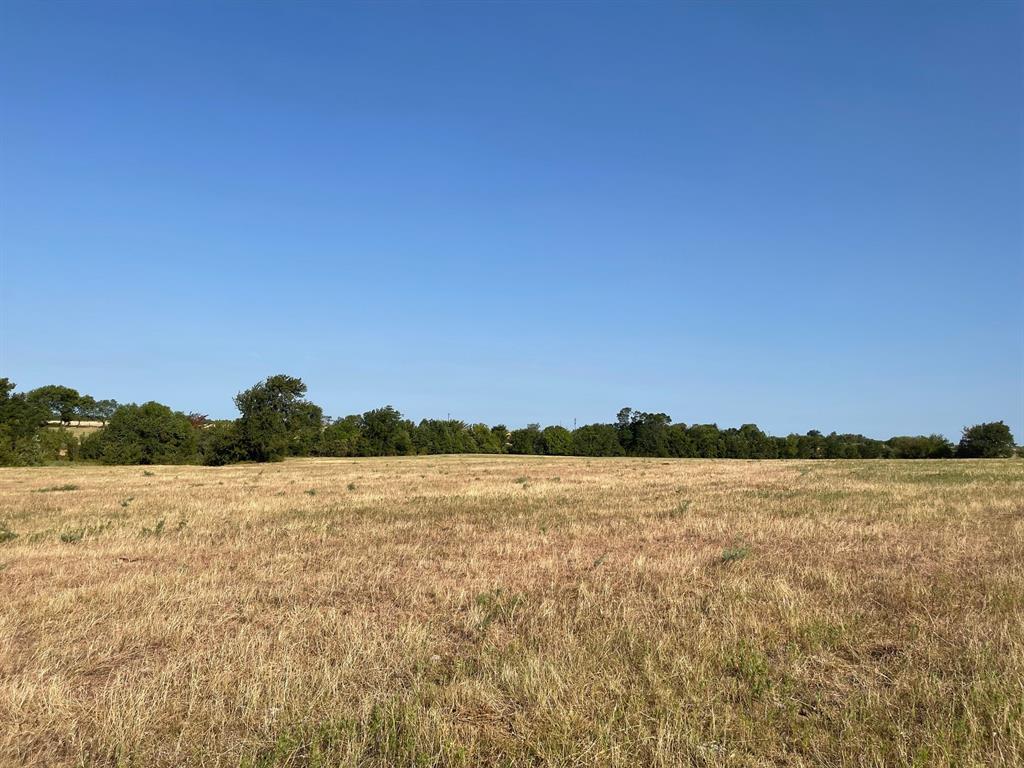 W Crabtree Abst - Land