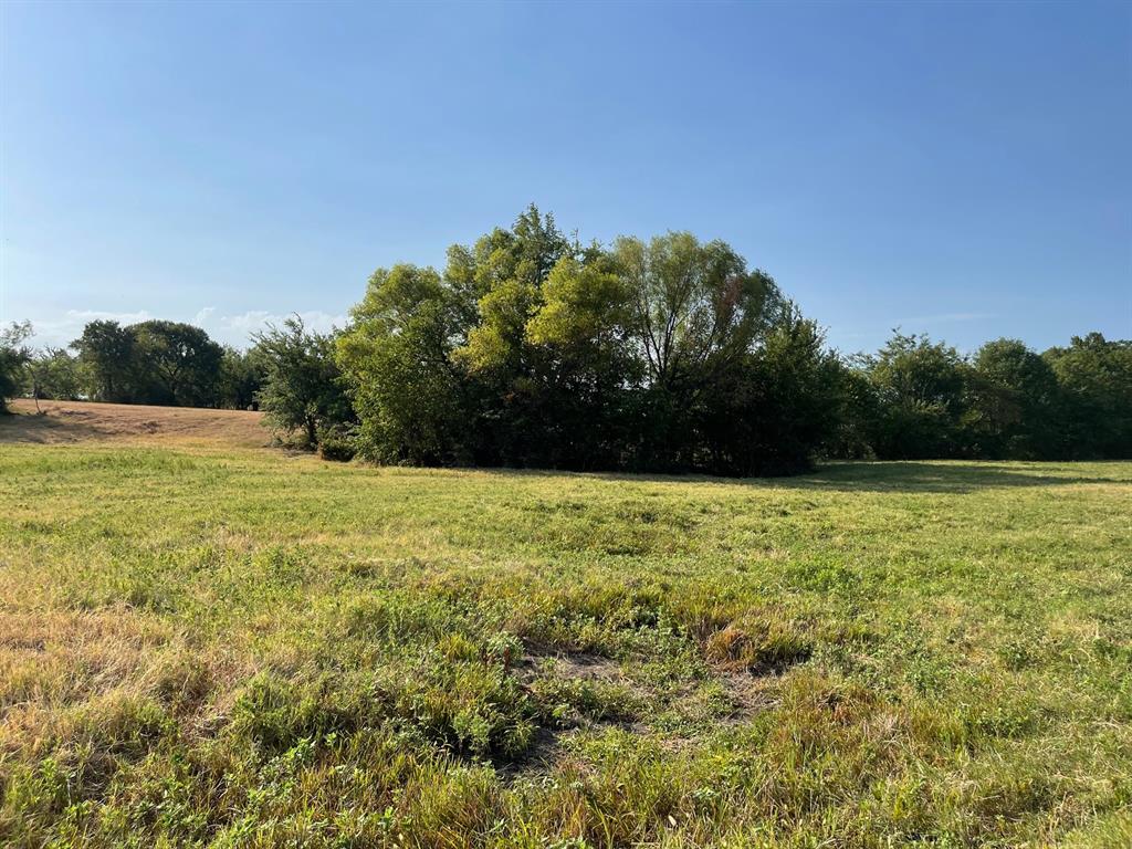 W Crabtree Abst - Land