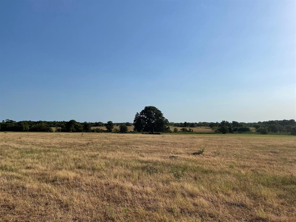 W Crabtree Abst - Land